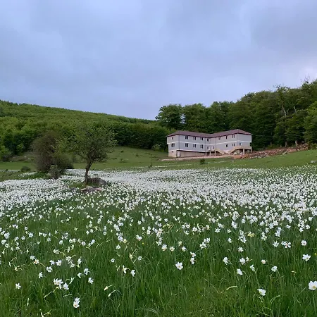 Bujtina Shehu 3* Fshat