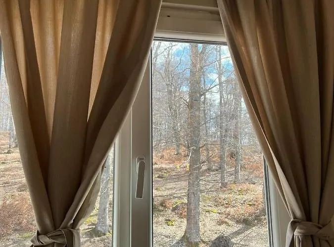 Bujtina Shehu Konukevi Fshat