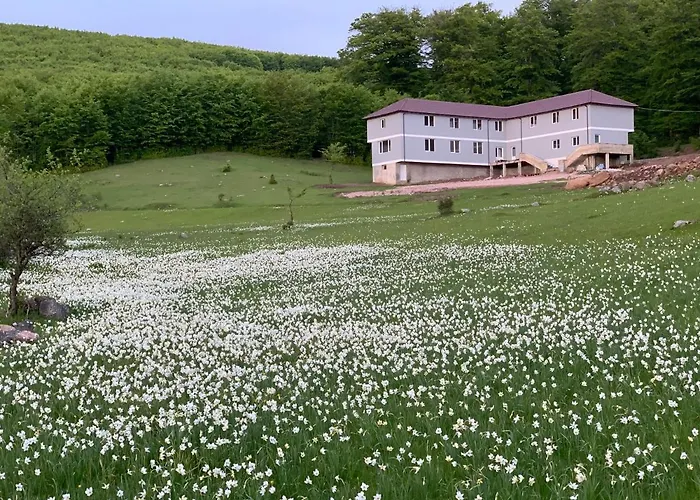 Konukevi Bujtina Shehu