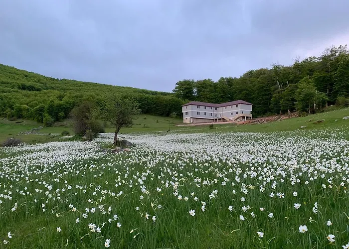 Bujtina Shehu 3* Fshat